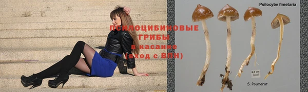 МДПВ Кулебаки